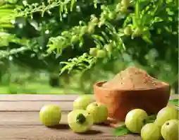 amla fruit extract