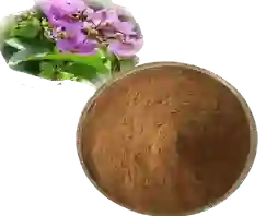 corosolic acid